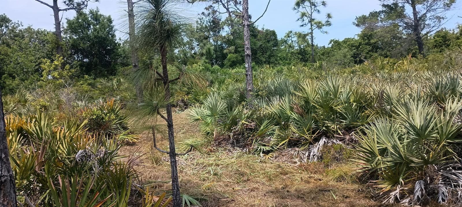 000 None, Grant Valkaria, FL 32950 photo 4