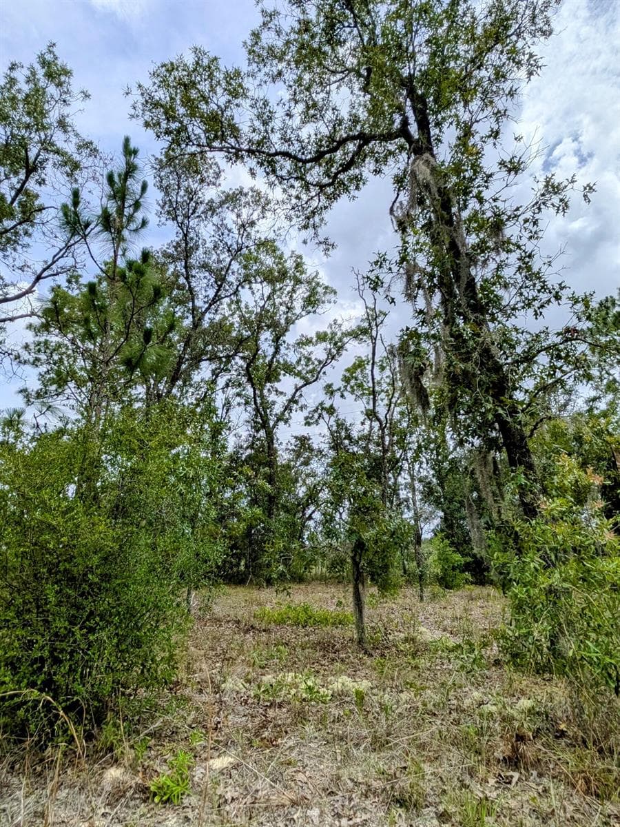 2450 W Rutland Drive, FL 34434 photo 2