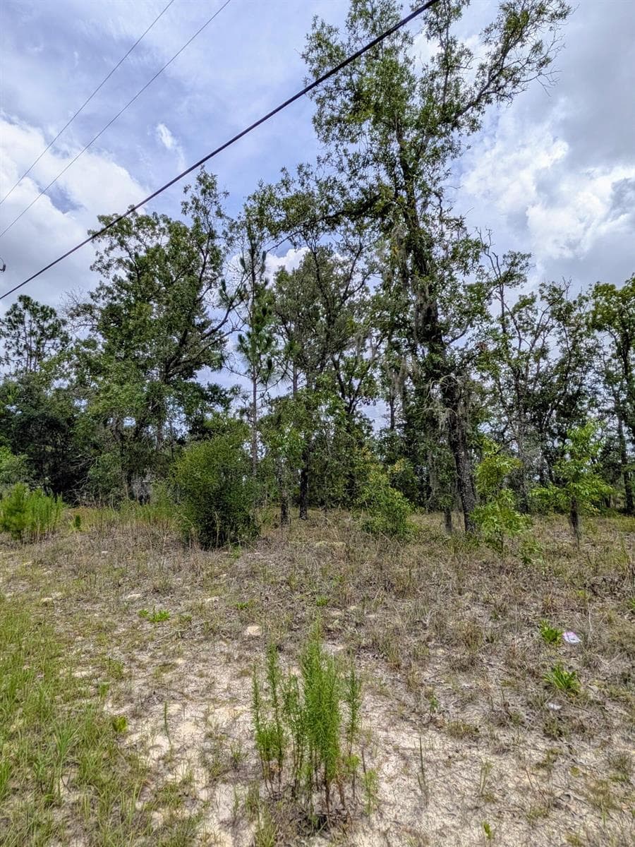 2450 W Rutland Drive, FL 34434 photo 3