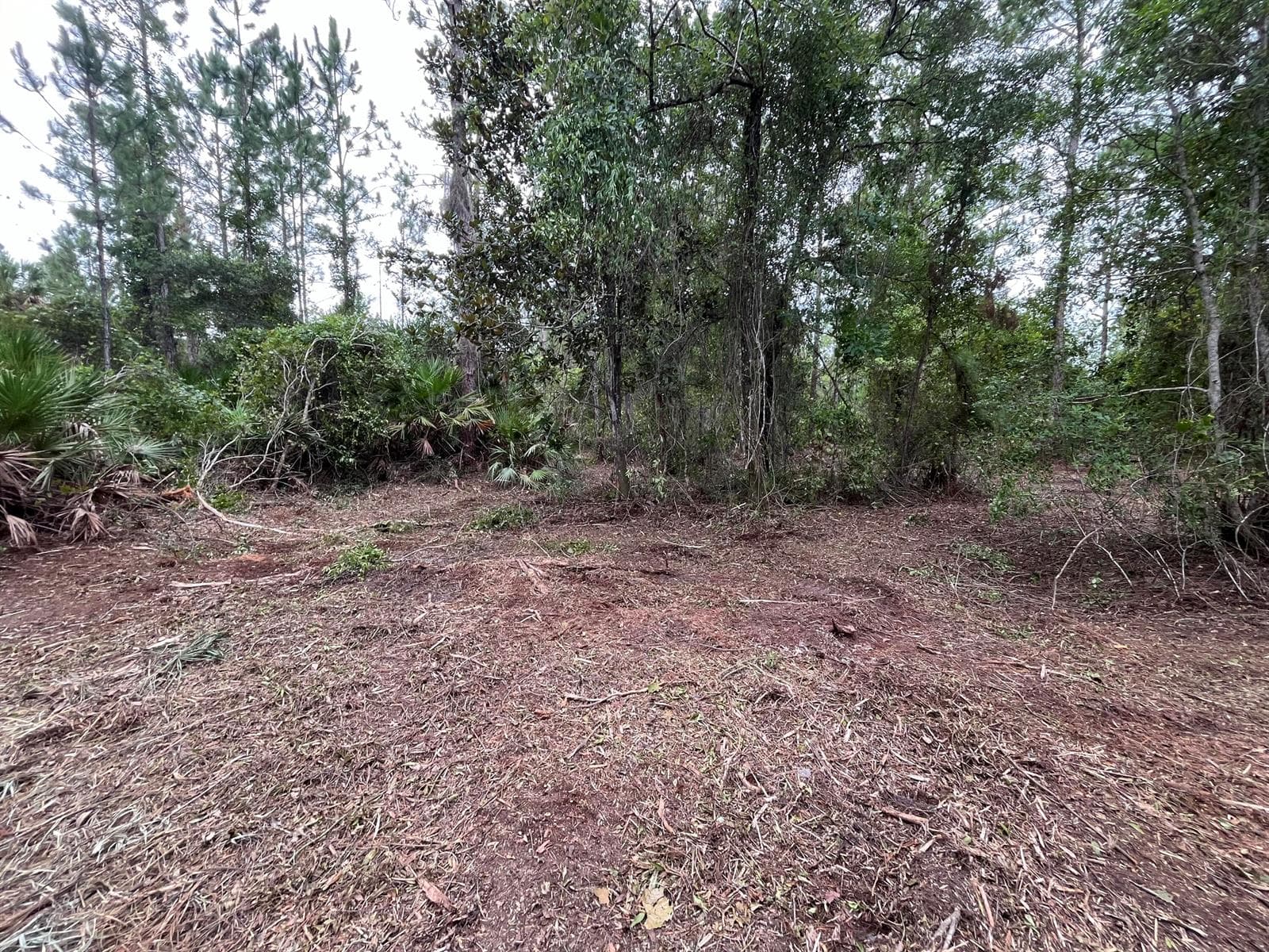 147 Roebuck Street, FL 32139 photo 3