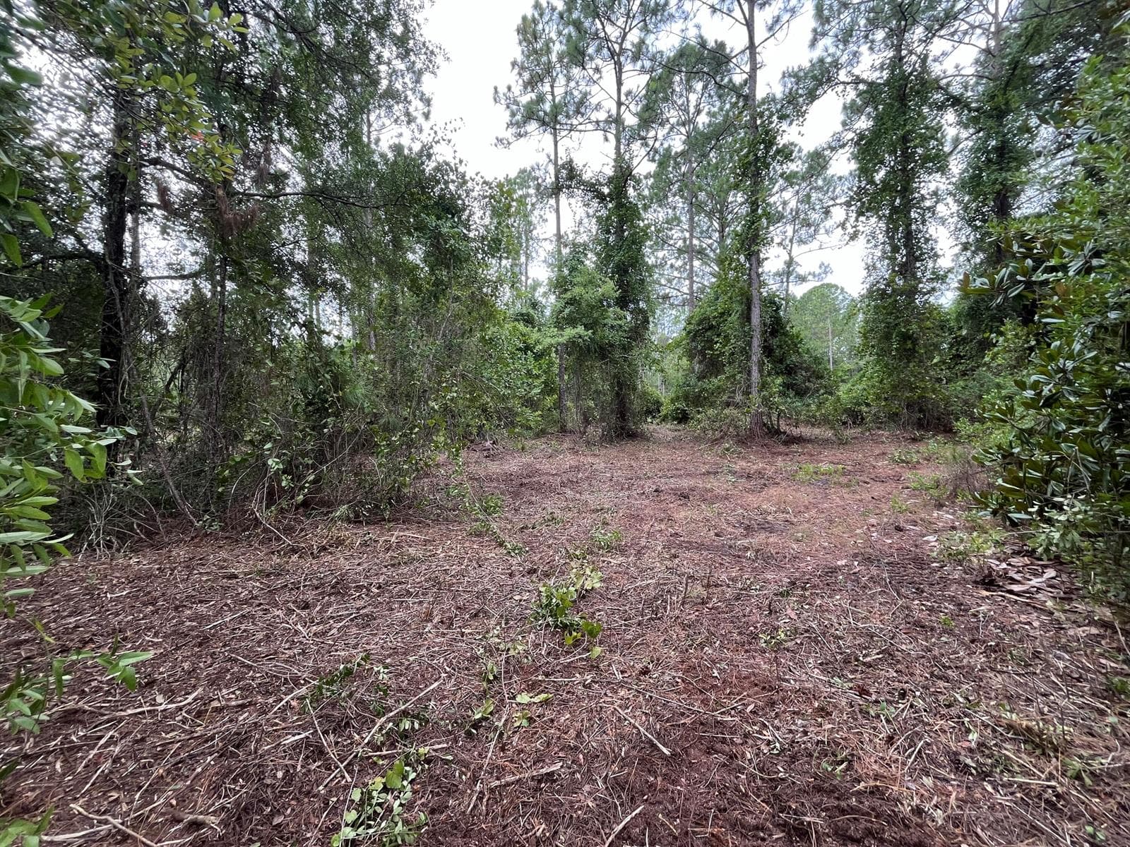 147 Roebuck Street, FL 32139 photo 5