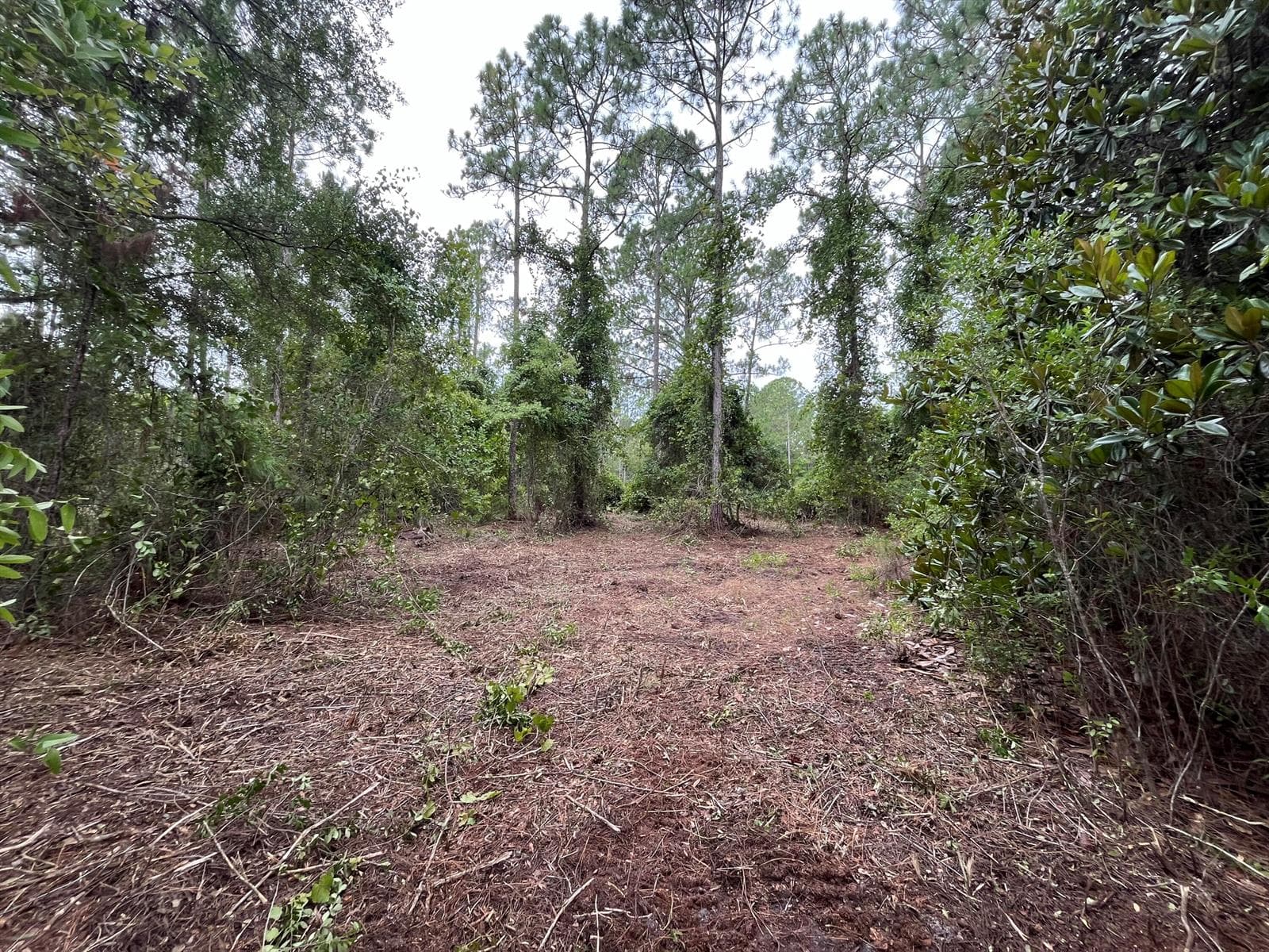 147 Roebuck Street, FL 32139 photo 4