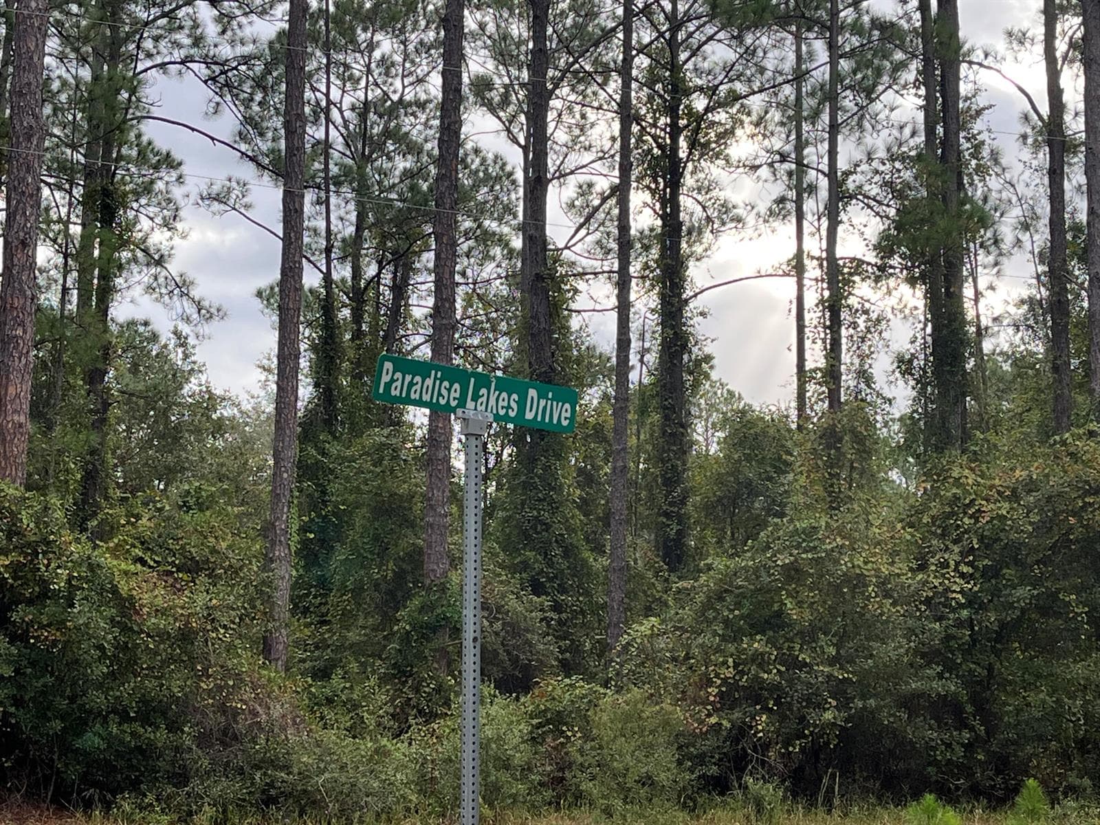 108 SE 5th Street, FL 32139 photo 4