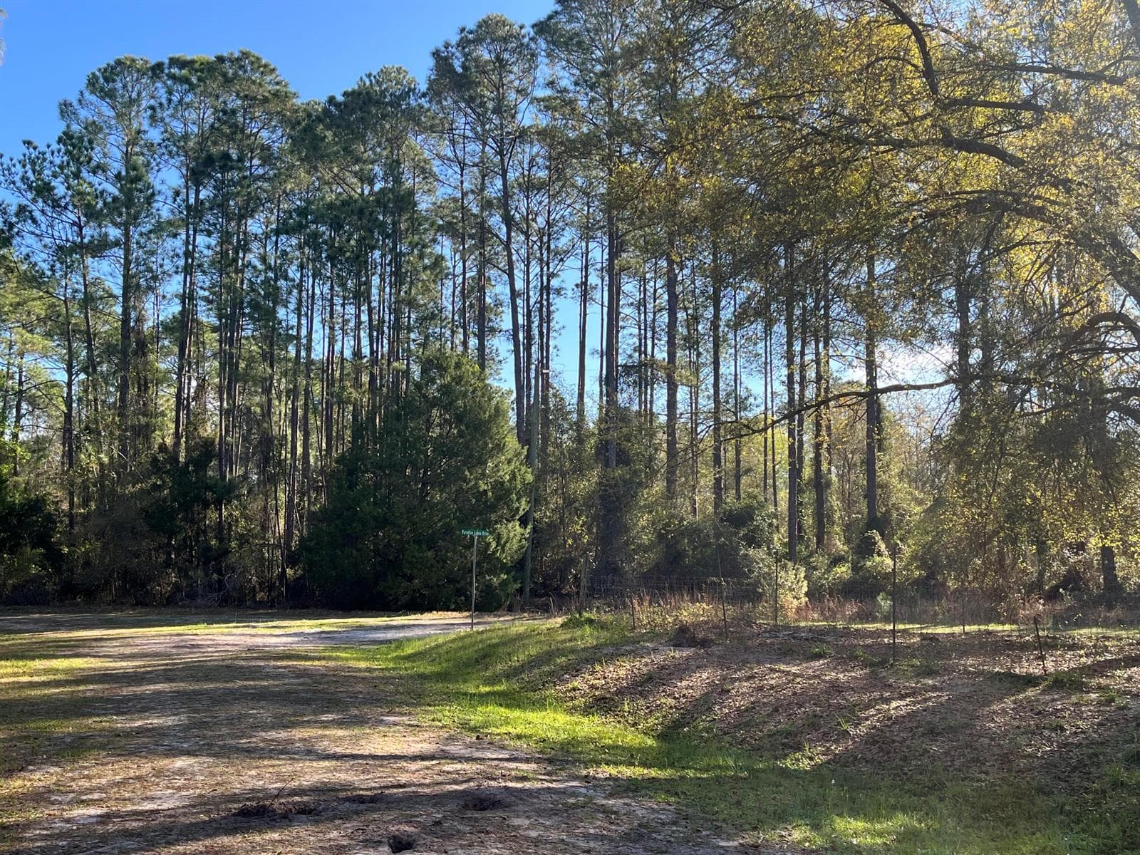 104 SE 5th Street, FL 32139 photo 5