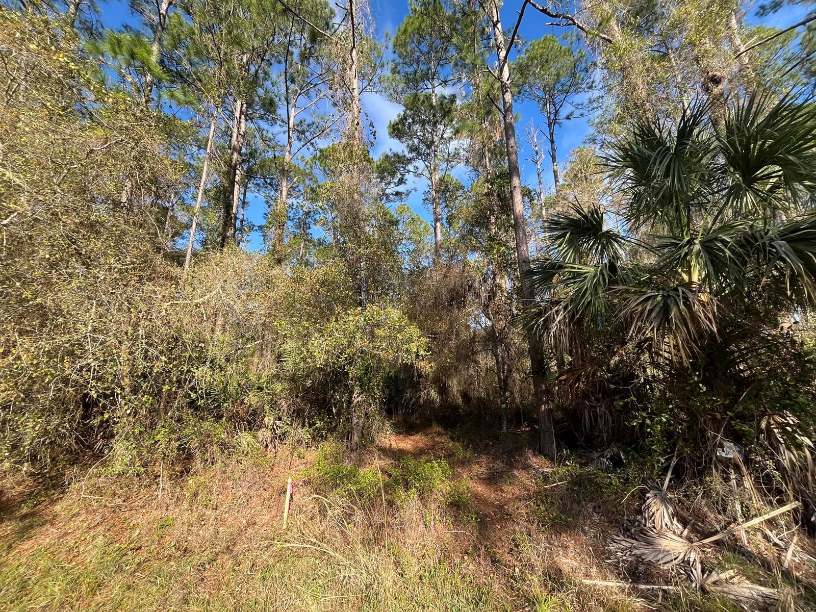 104 SE 5th Street, FL 32139 photo 4