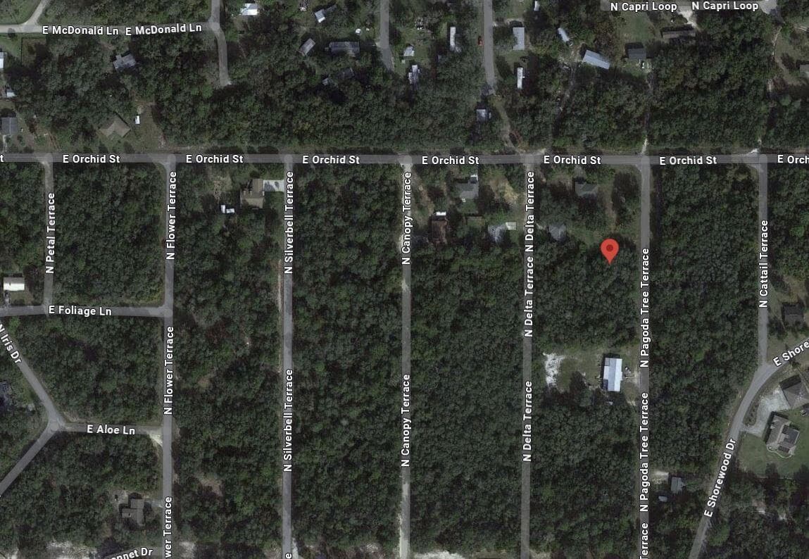 6634 N Pagoda Tree Terrace, FL 34442 photo 2