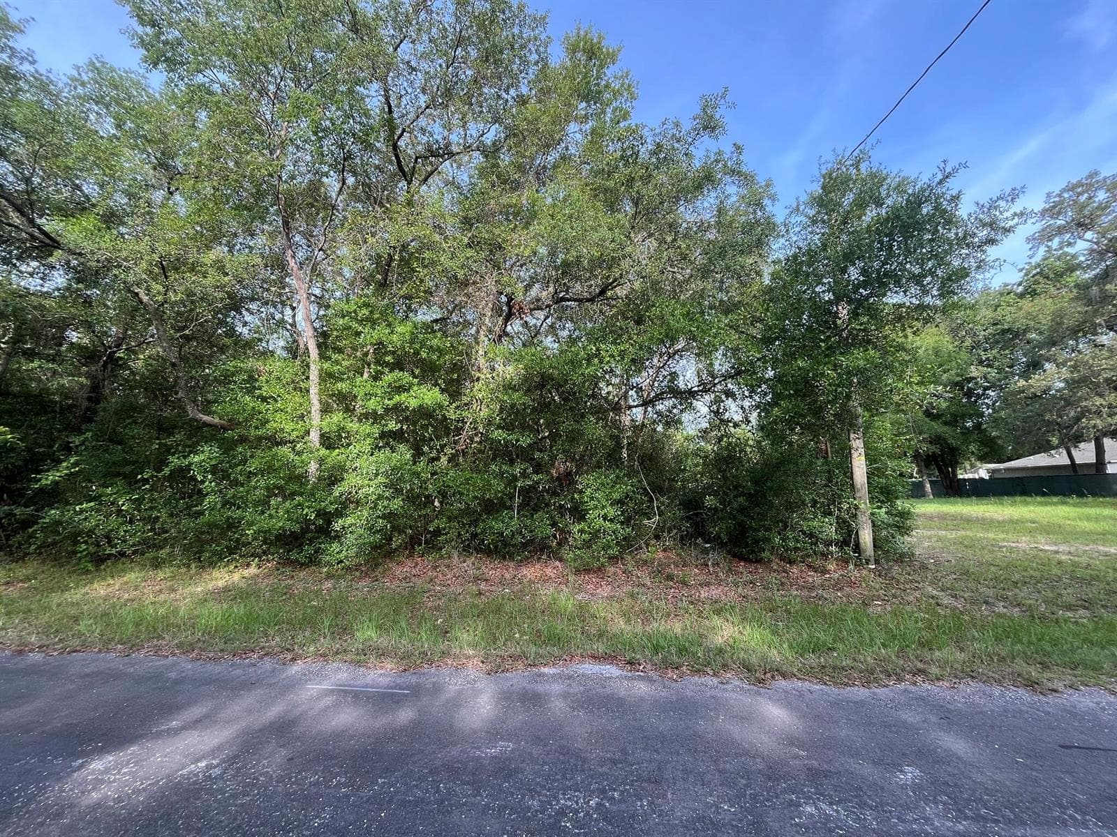 6634 N Pagoda Tree Terrace, FL 34442 photo 3