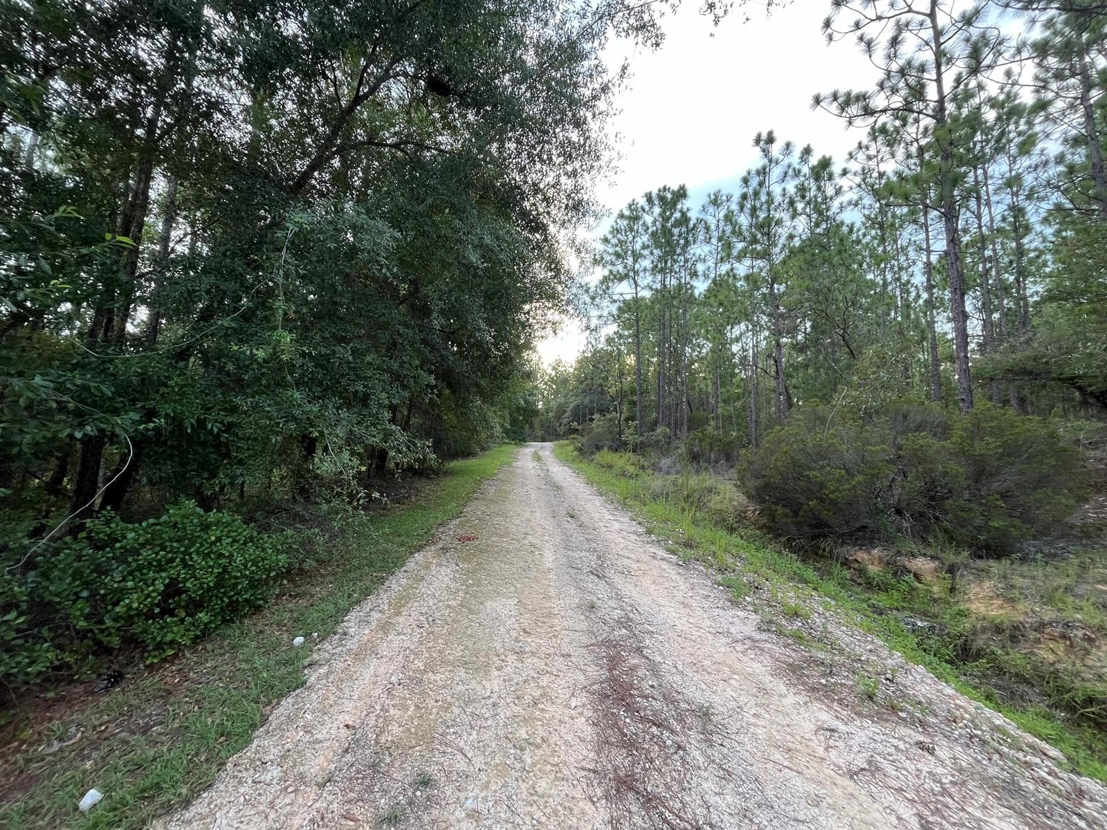 124 New York Avenue, FL 32148 photo 3
