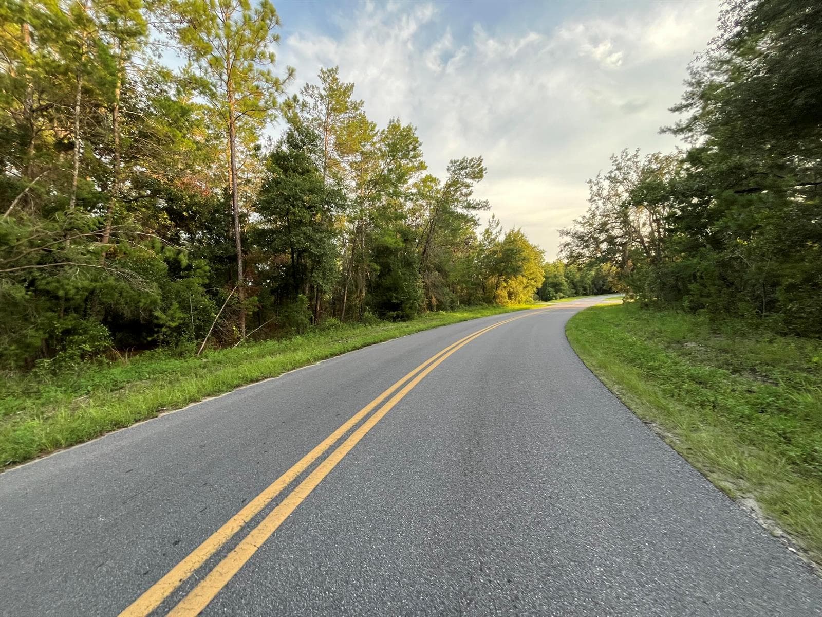 Tbd Twin Lakes Road, FL 32148 photo 2
