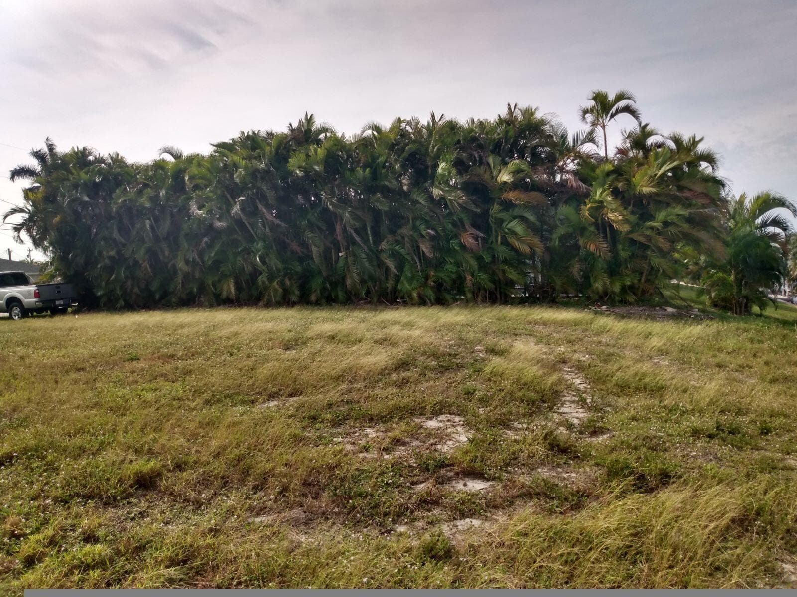 1727 SE 16th Street, Cape Coral, FL 33990 photo 5