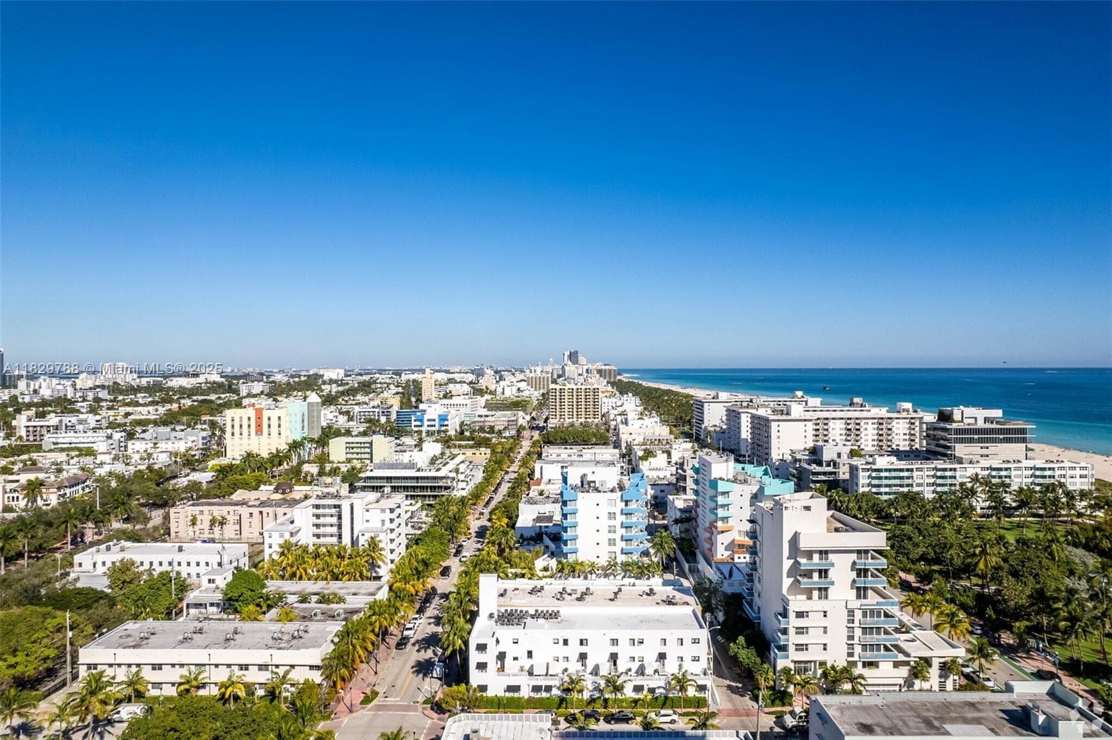 205 Collins Ave, Miami Beach, FL 33139 photo 5
