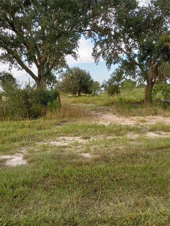 17925 NW 316th Street, Okeechobee, FL 34972 photo 2