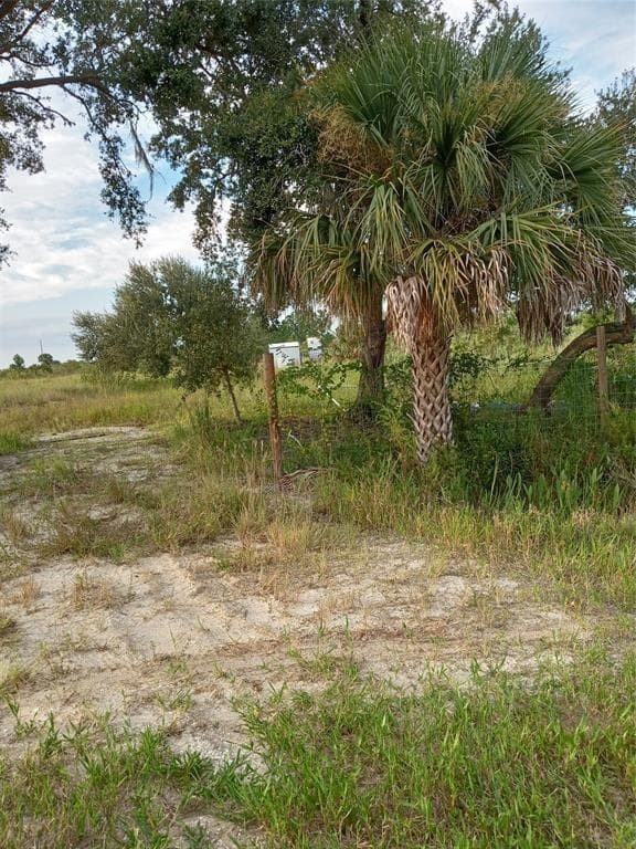 17925 NW 316th Street, Okeechobee, FL 34972 photo 3