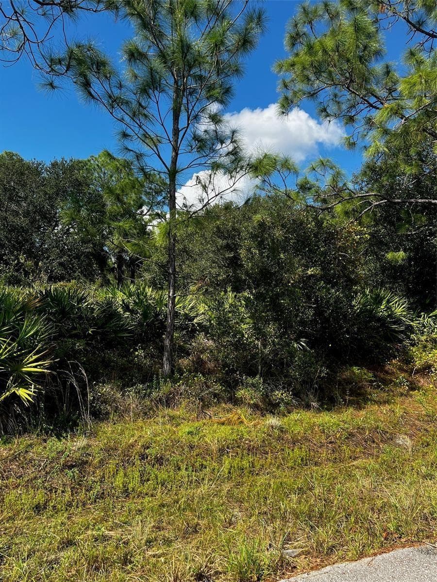 1221 Hamilton Avenue, Lehigh Acres, FL 33972 photo 3