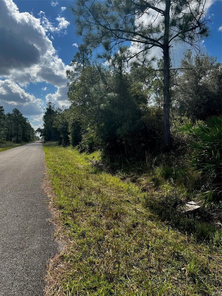 1221 Hamilton Avenue, Lehigh Acres, FL 33972 photo 5
