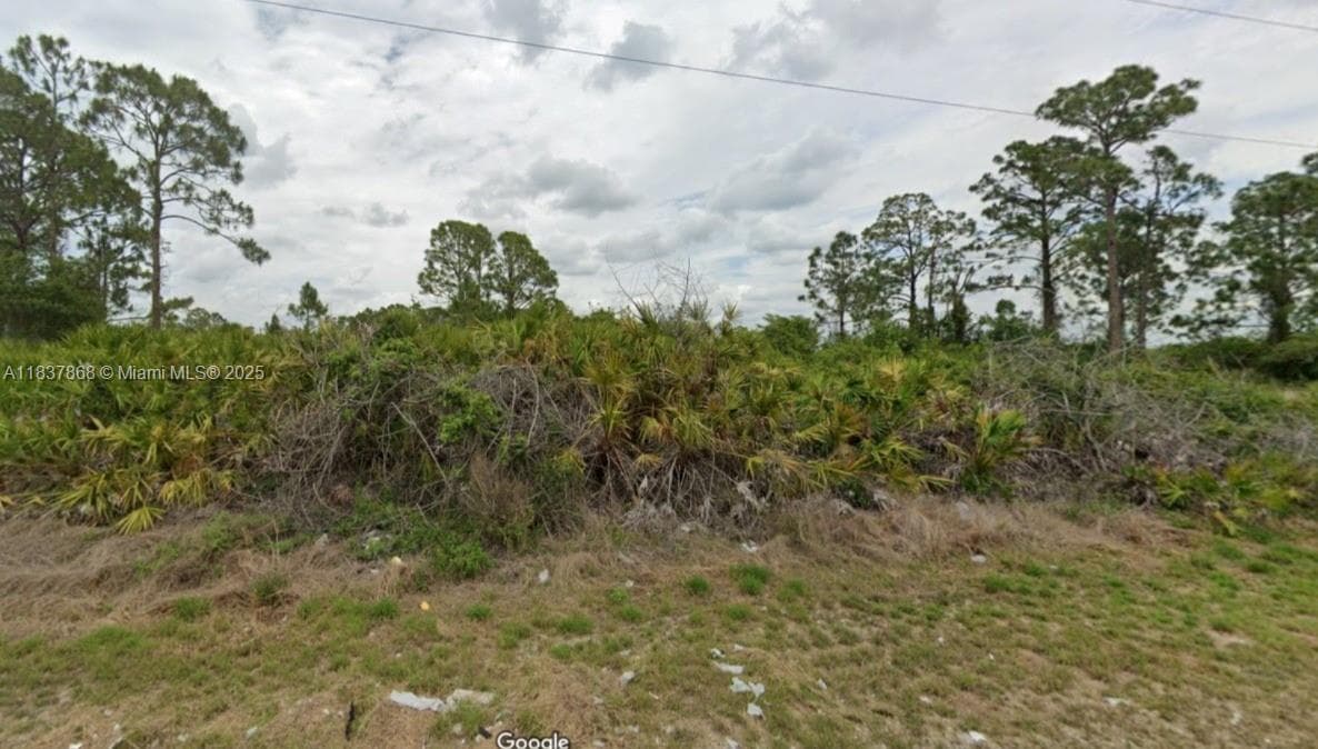 1247 Antonio Street E, Lehigh Acres, FL 33974 photo 2