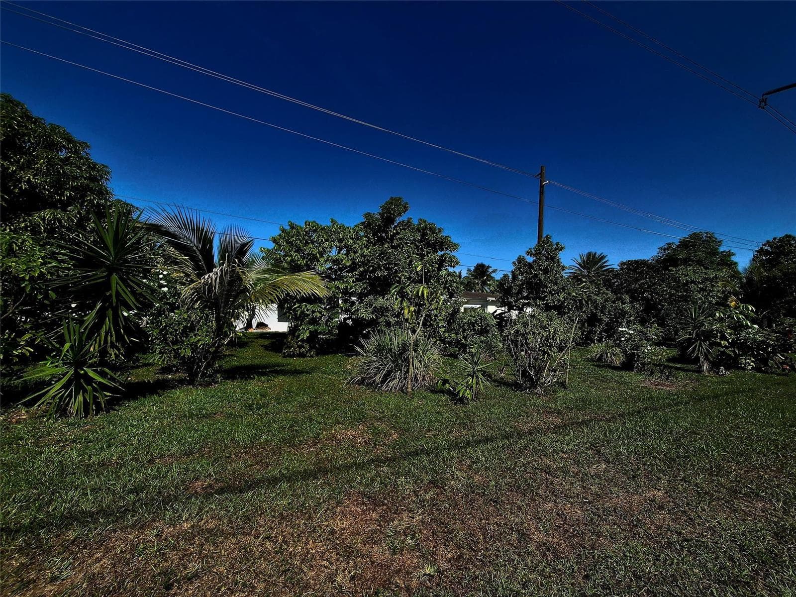 1390 NW 70th Lane, Margate, FL 33063 photo 5