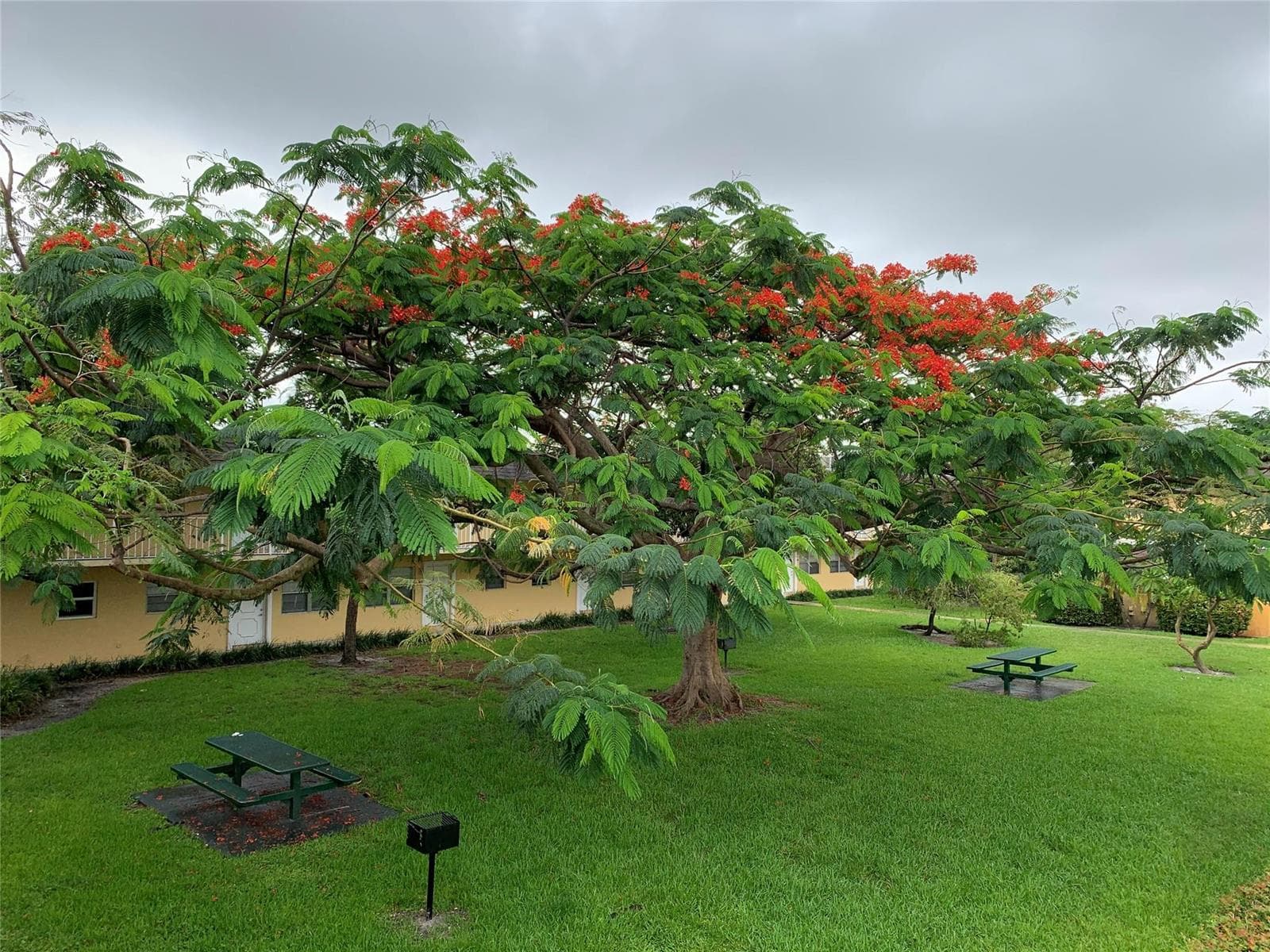 5168 NE 6th Avenue # 426, Fort Lauderdale, FL 33334 photo 2