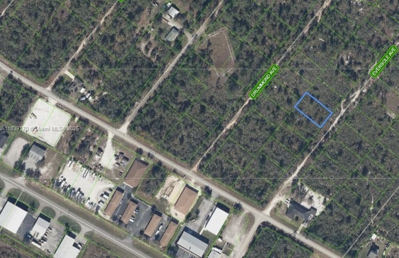 120 EVERSOLE AVE, Lake Placid, FL 33862