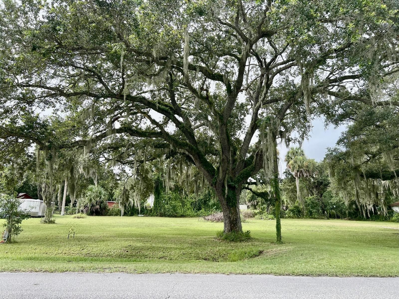 2070 SW 8th Street, Okeechobee, FL 34974 photo 3