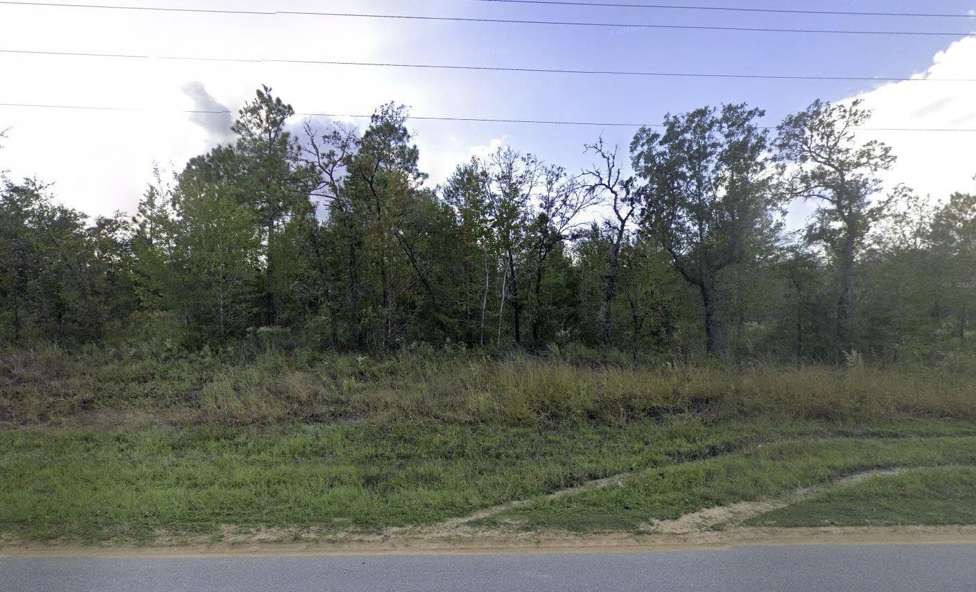 1504 Lakeview Trail, FL 32148
