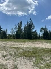 824 NE 23rd Terrace, Cape Coral, FL 33909 photo 3