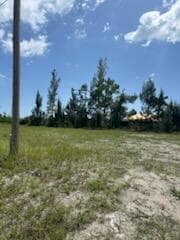 824 NE 23rd Terrace, Cape Coral, FL 33909 photo 4