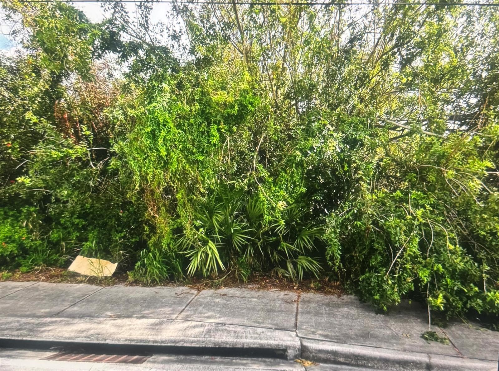 0 N 25th Street, Fort Pierce, FL 34947 photo 2