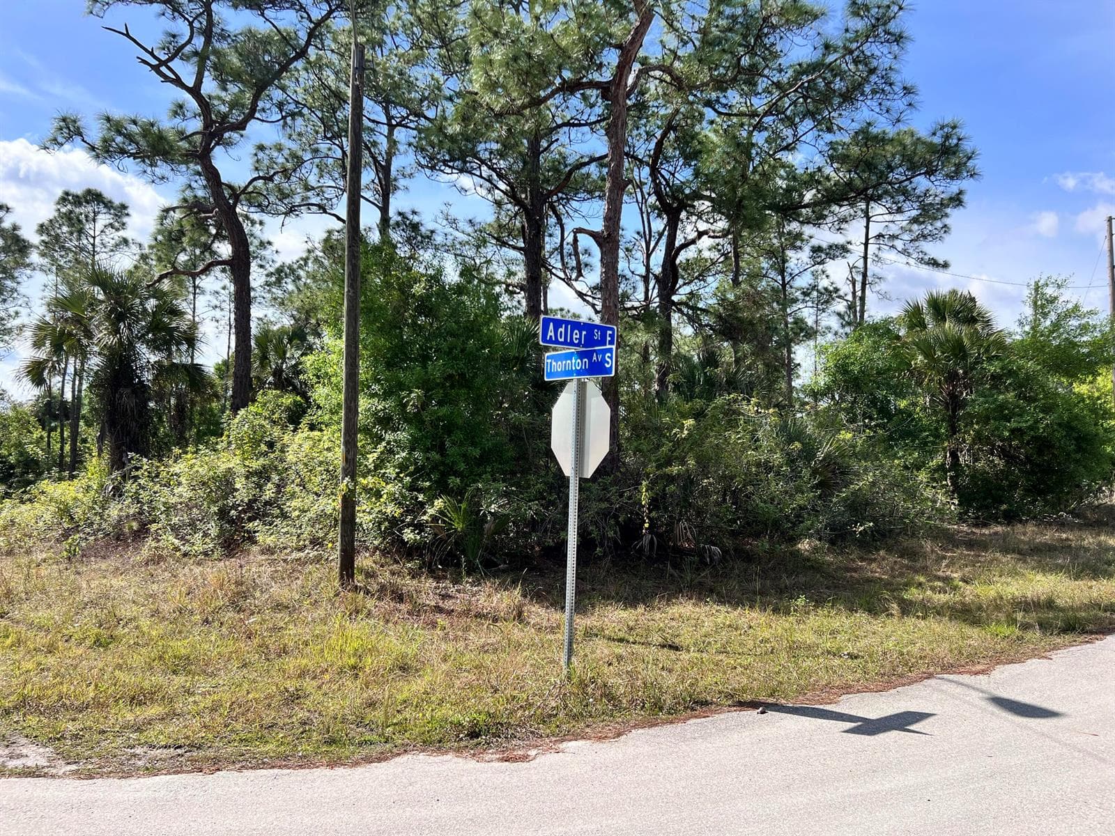 860 Adler Street E, Lehigh Acres, FL 33974 photo 2