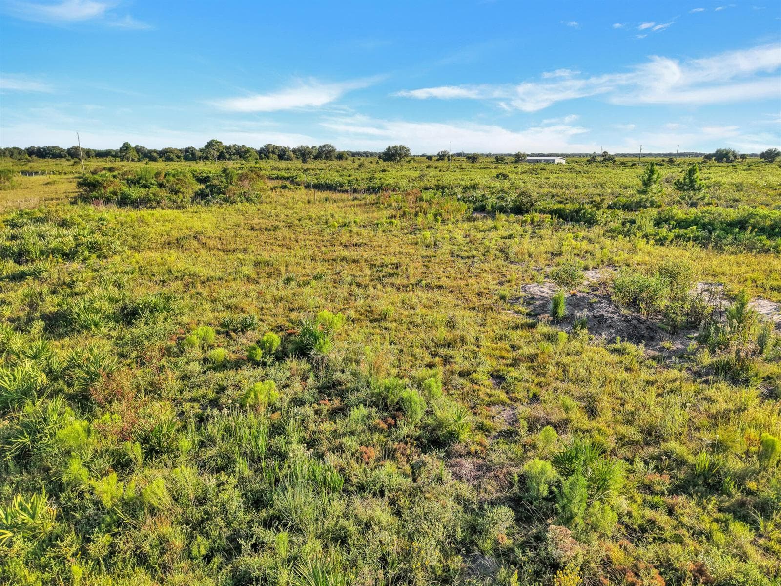 22184 NW 278th Street, Okeechobee, FL 34972 photo 2