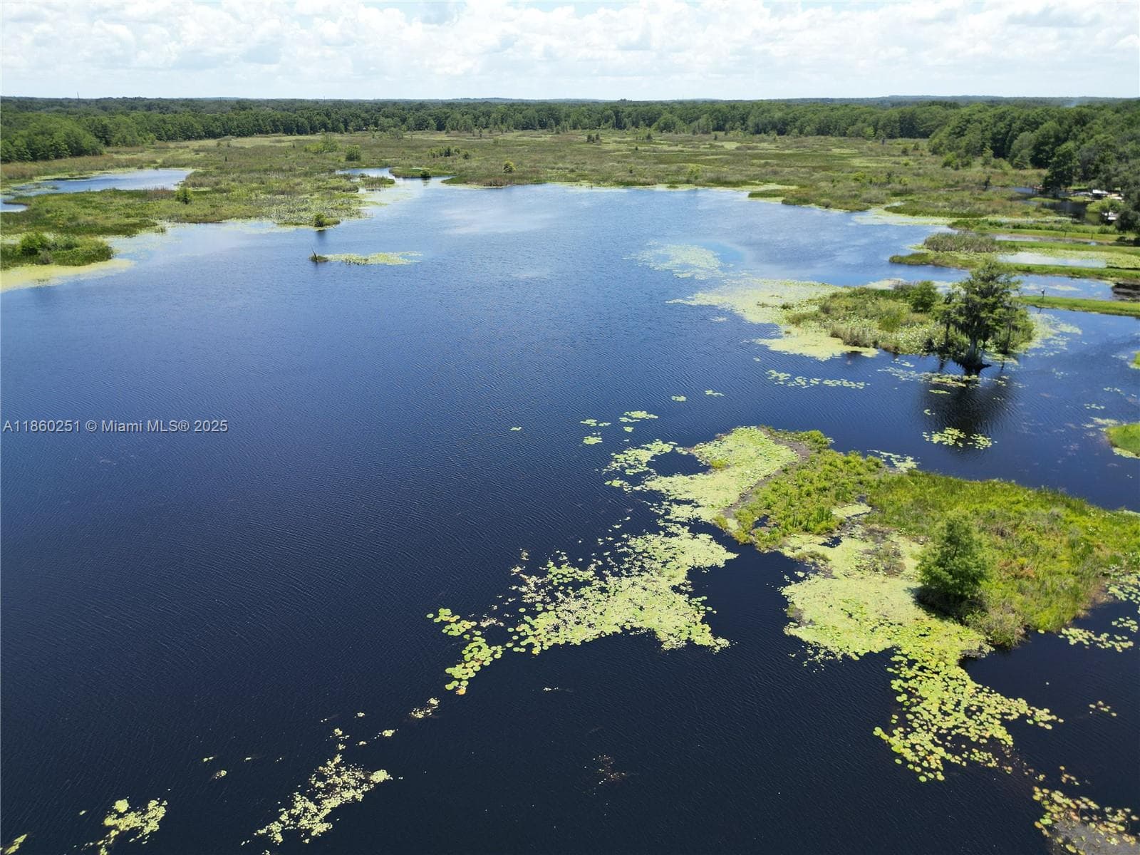8781 S LAKESHORE DR FLORAL CITY, Other City - In The State Of Florida, FL 34436 photo 2
