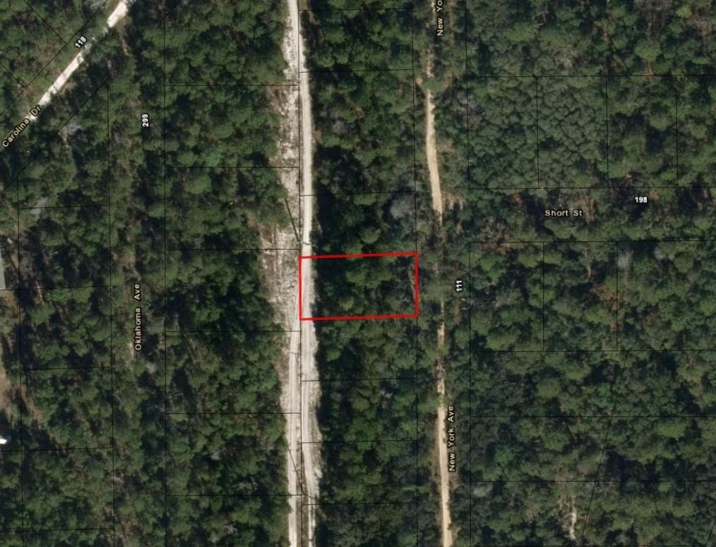 111 New York Avenue, FL 32148 photo 2