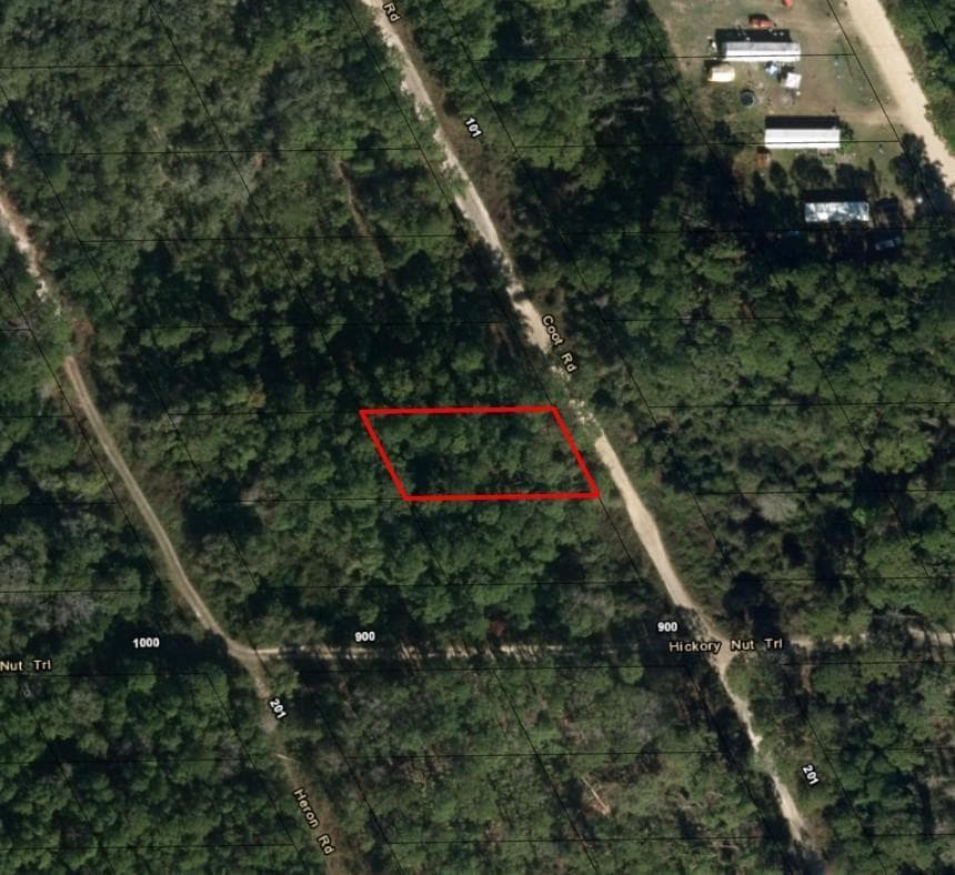 123 Coot Road, FL 32189 photo 2