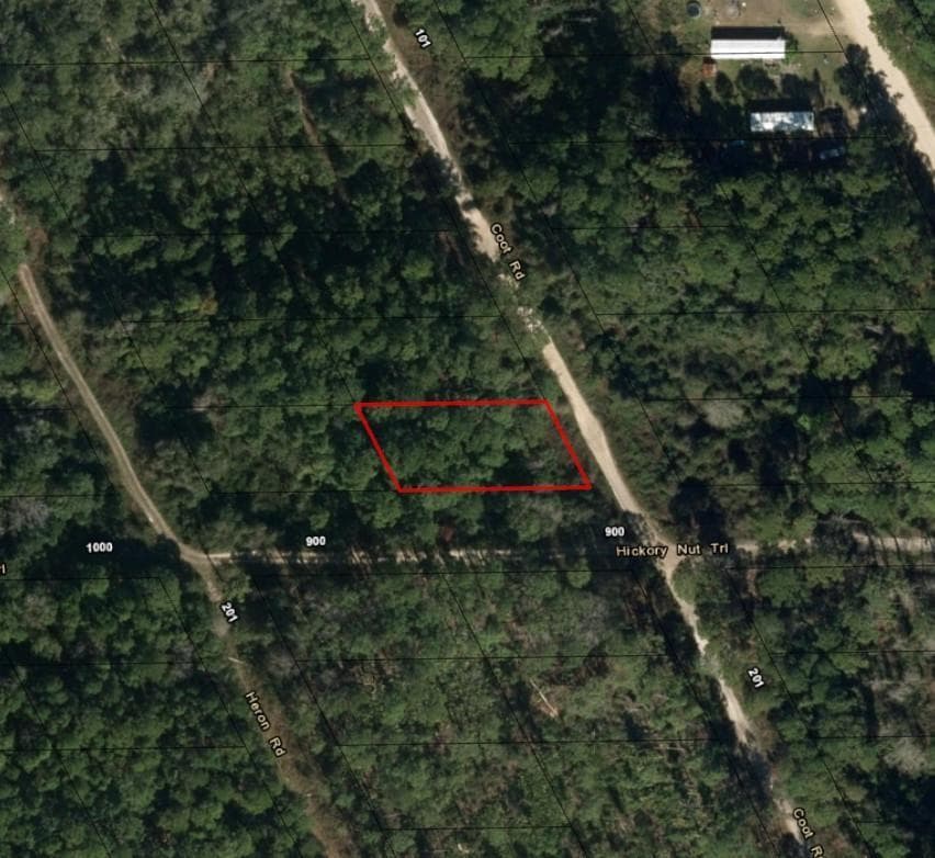 0 Coot Drive, FL 32189 photo 2