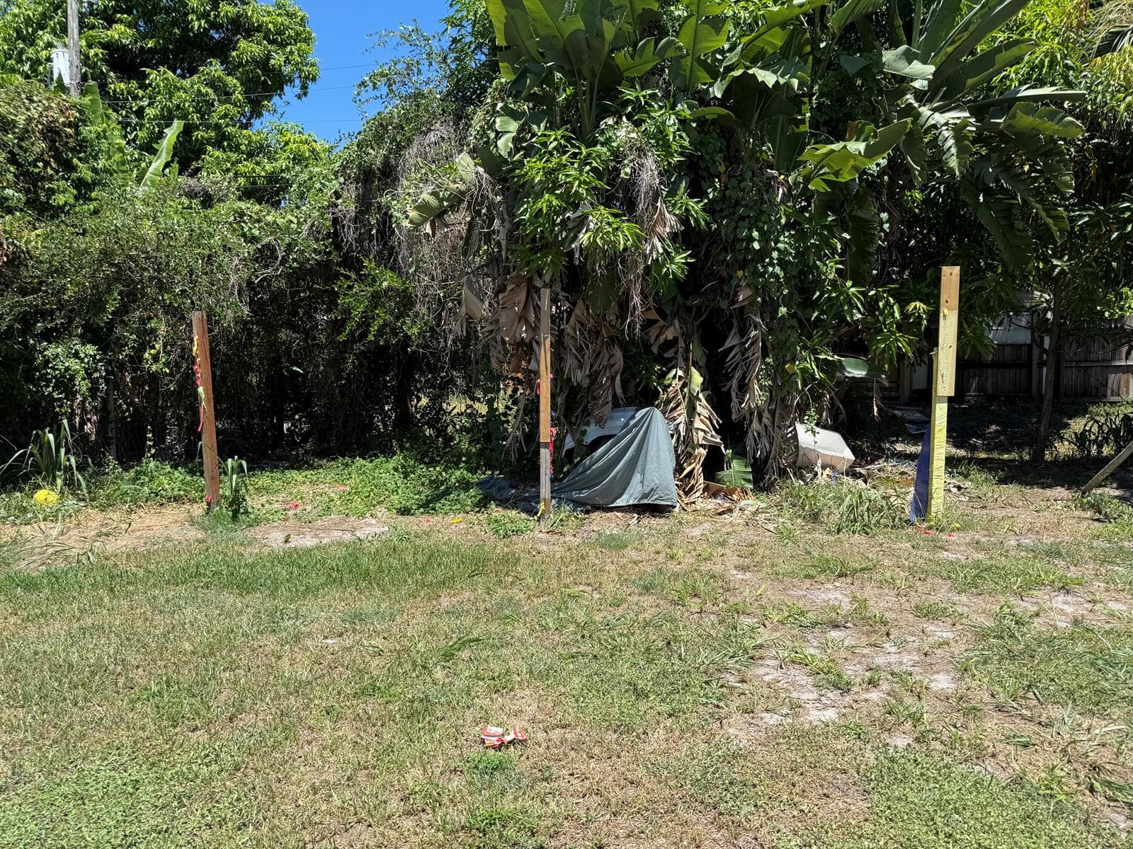 332 Fleming Avenue, FL 33463 photo 3
