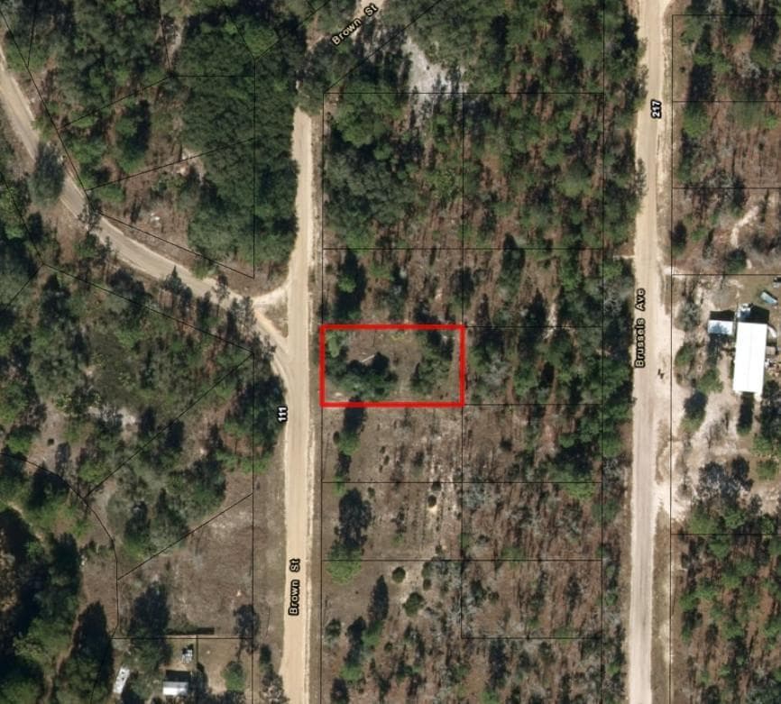 110 Brown Street, FL 32148 photo 2