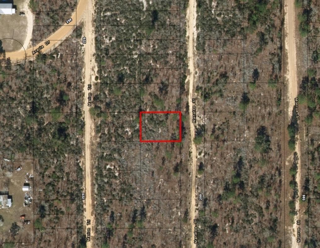 0 Manatee Street, FL 32148 photo 2