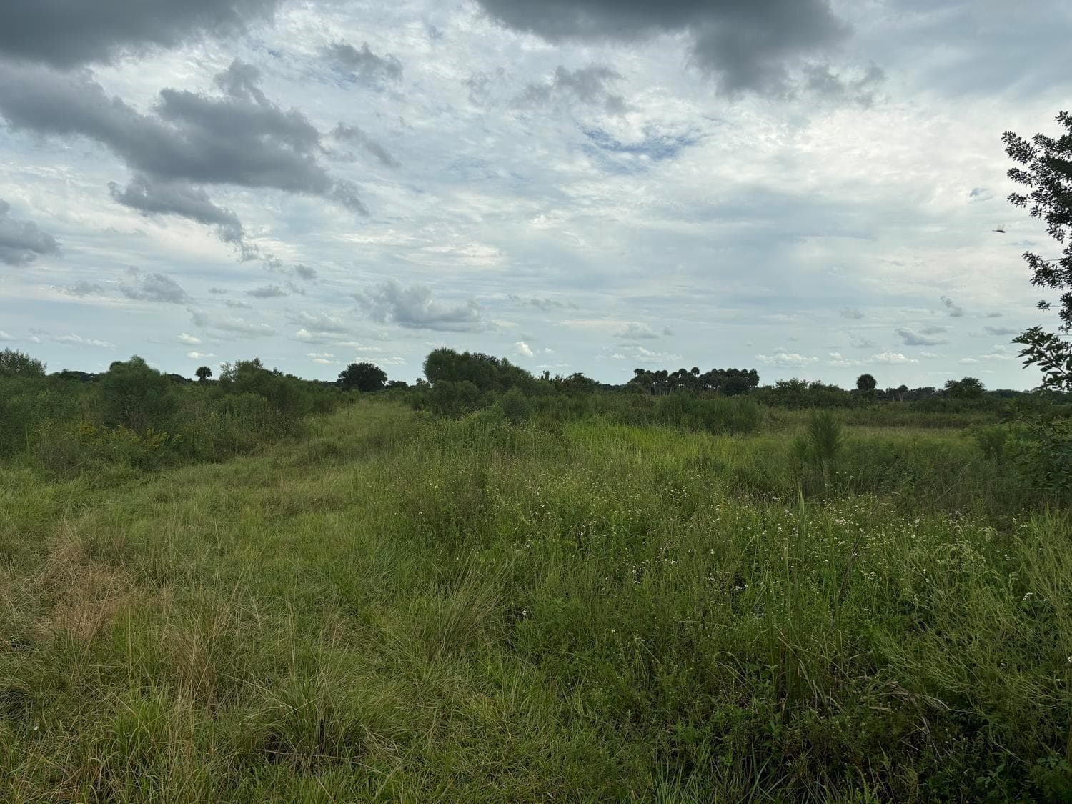 29800 NW 192nd Avenue, Okeechobee, FL 34972 photo 2
