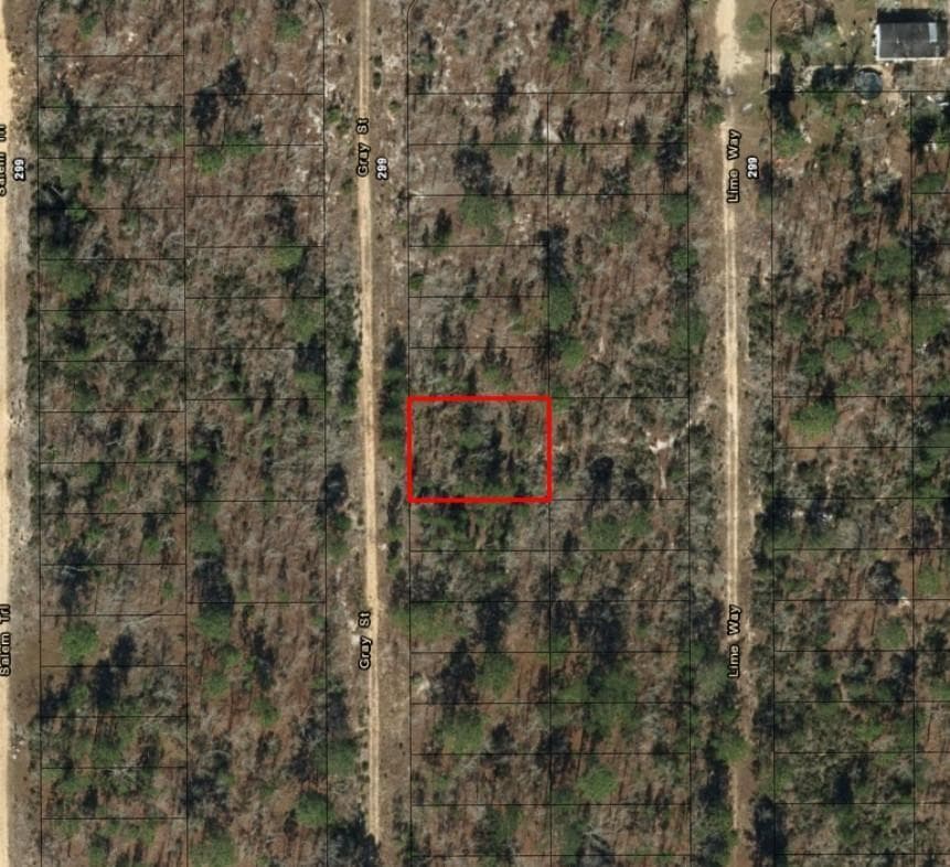 0 Gray Street, FL 32148 photo 2