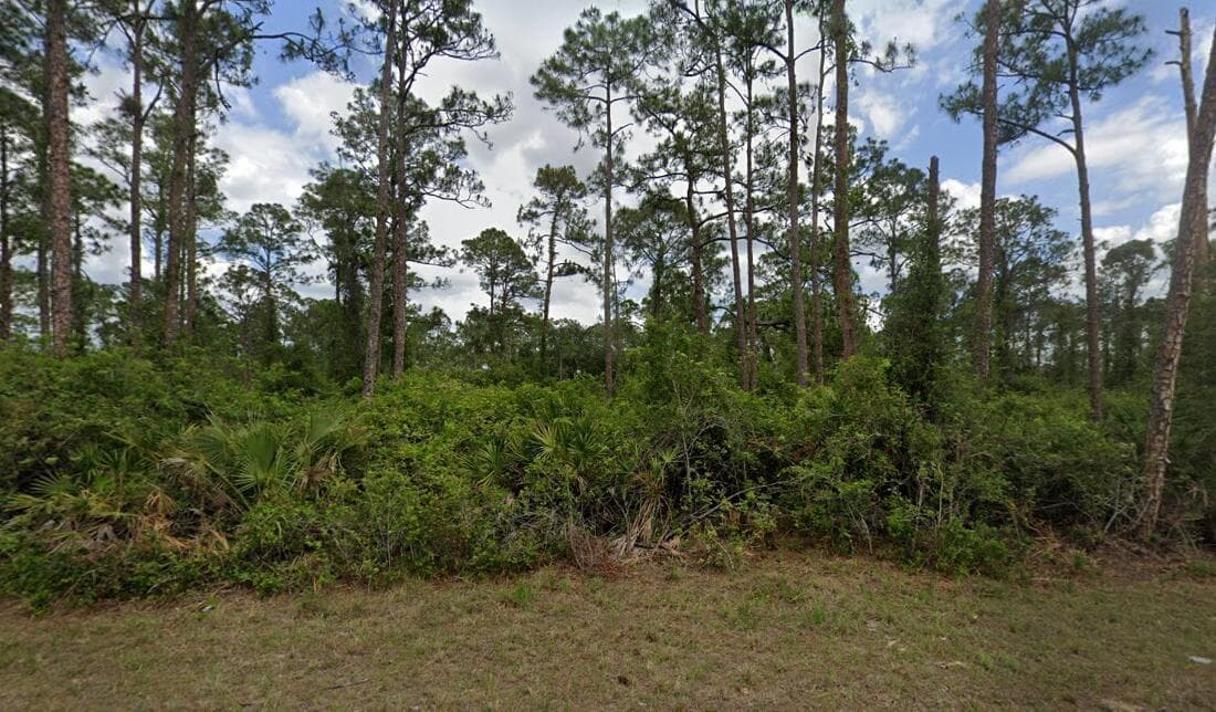 2018 Canton Avenue, FL 33920 photo 2