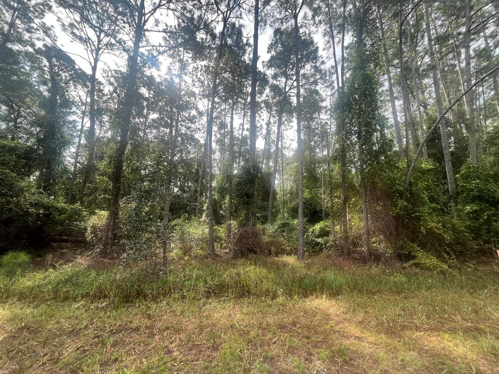 223 SE 2nd Street, FL 32139