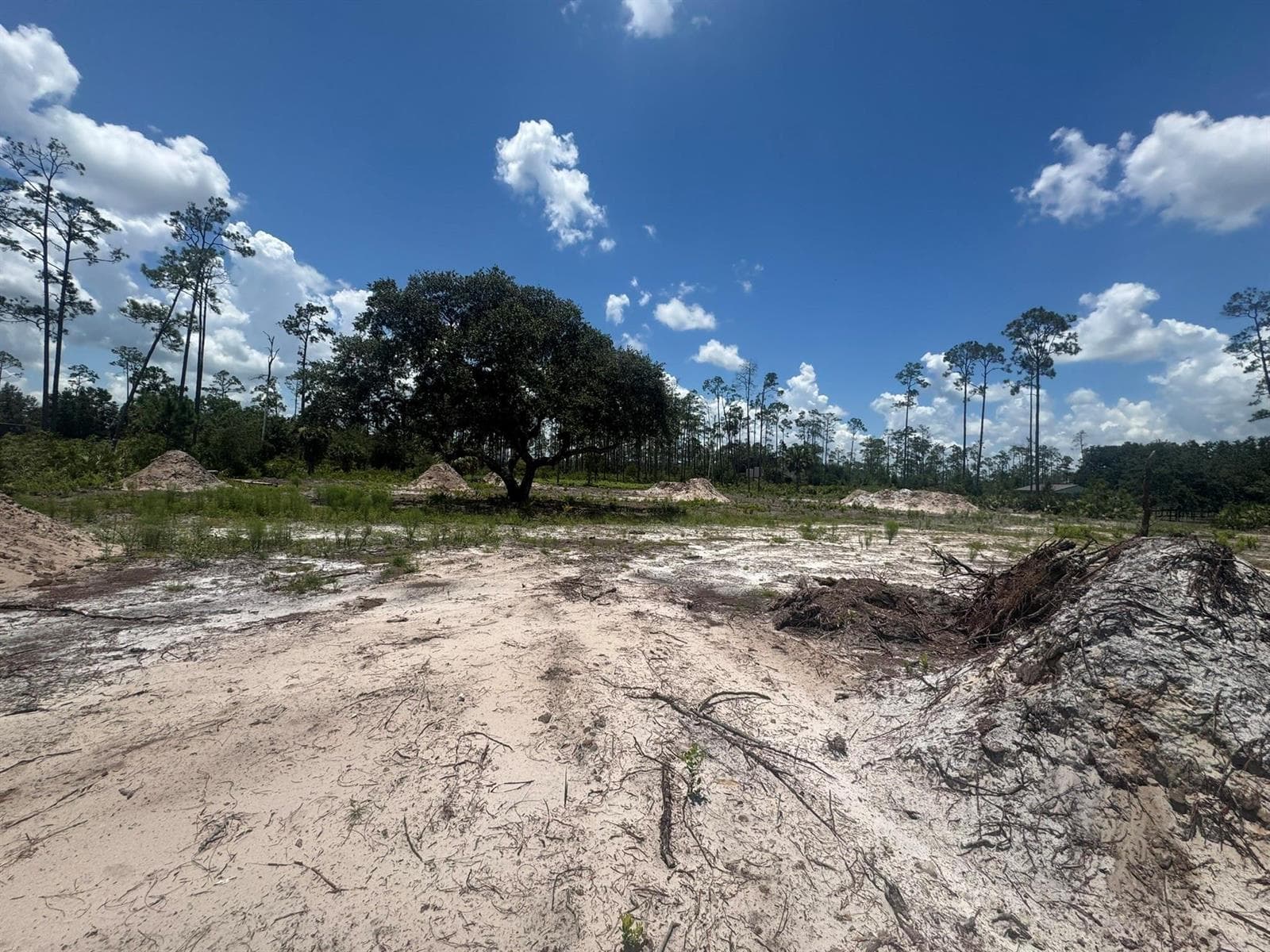32801 Highway 441, Okeechobee, FL 34972 photo 5