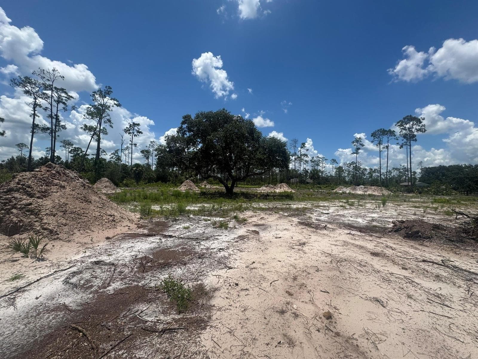 32801 Highway 441, Okeechobee, FL 34972 photo 4