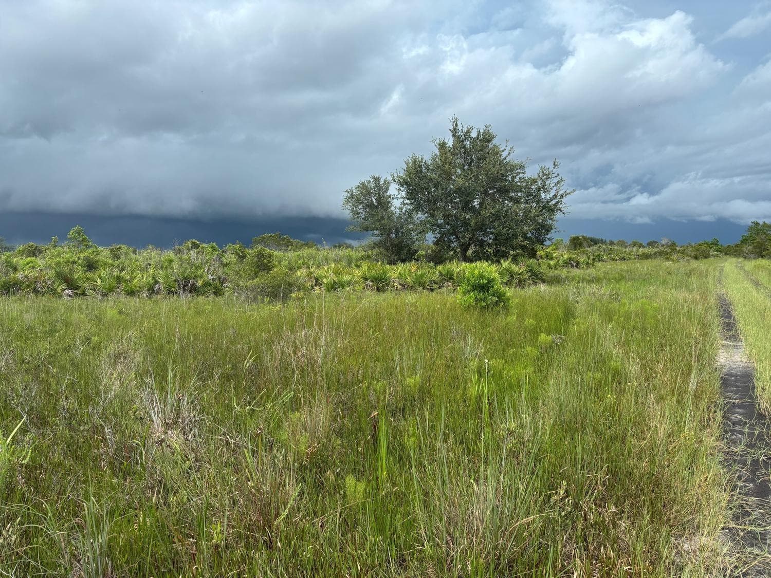 0 NW 312th Street, Okeechobee, FL 34972 photo 2