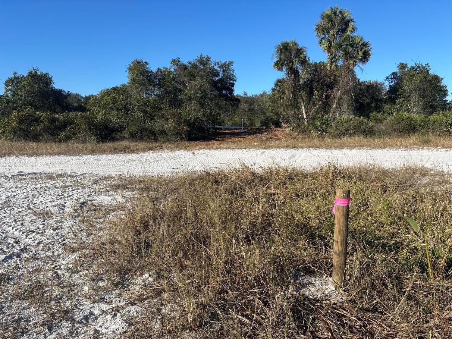 0 NW 296th Street, Okeechobee, FL 34972 photo 3