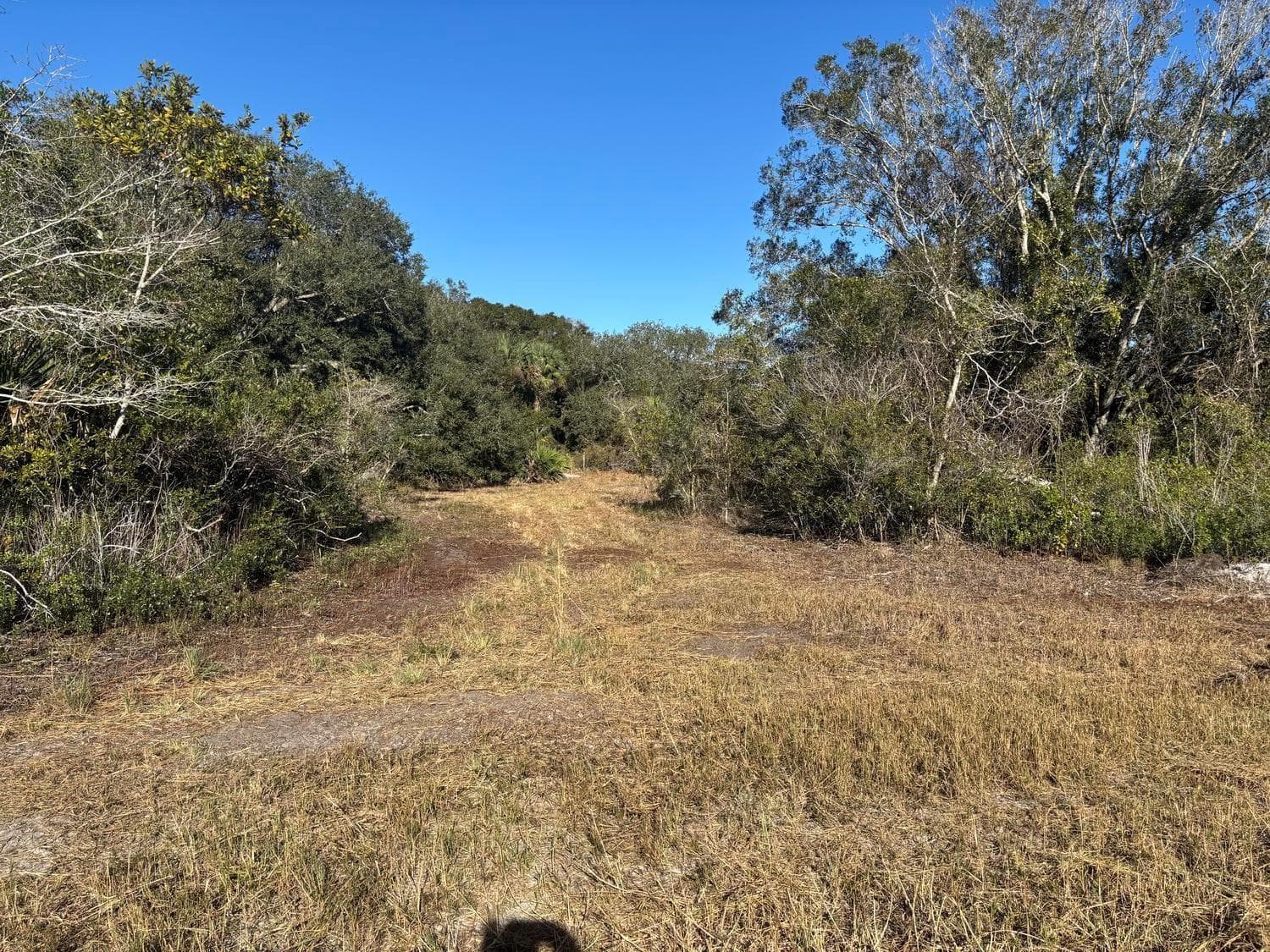 0 NW 296th Street, Okeechobee, FL 34972 photo 4