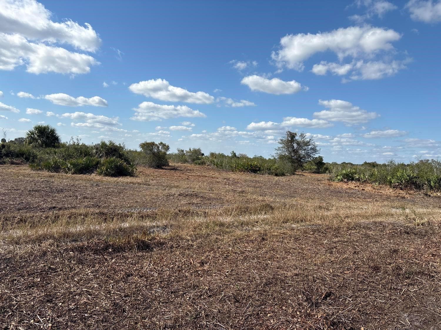 0 NW 316th Street, Okeechobee, FL 34972 photo 2