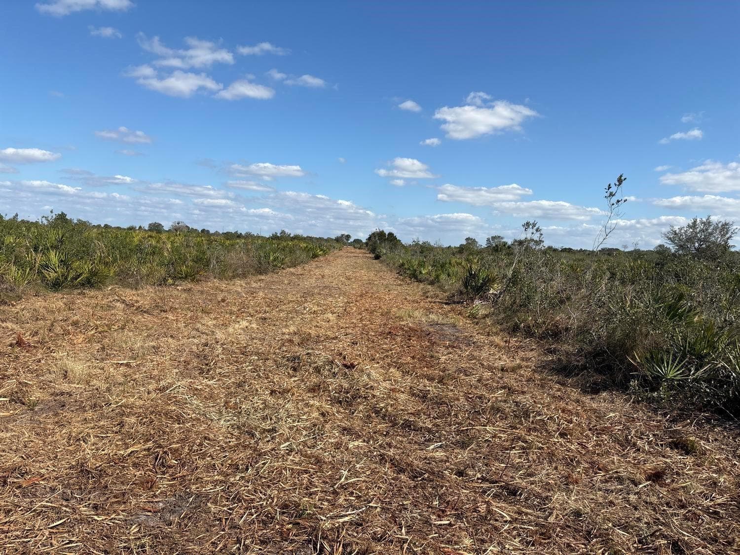 0 NW 316th Street, Okeechobee, FL 34972 photo 3
