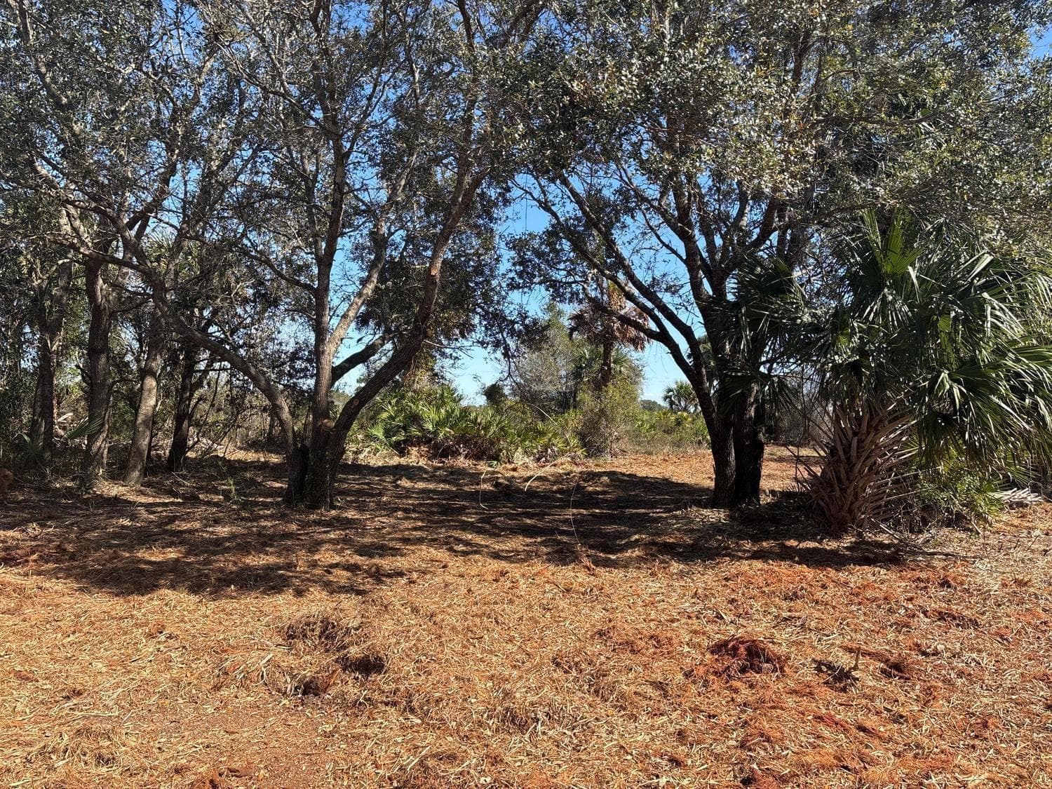 0 NW 304th Street, Okeechobee, FL 34972 photo 2