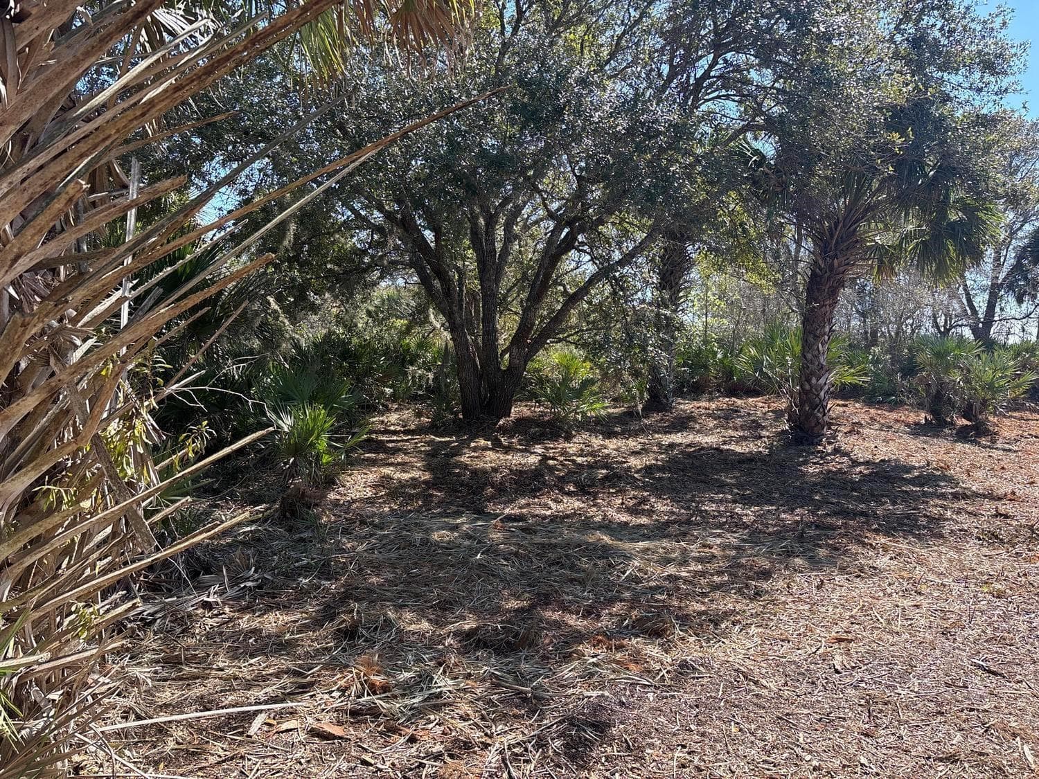0 NW 304th Street, Okeechobee, FL 34972 photo 3